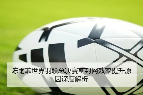 陈雨菲世界羽联总决赛前封网效率提升原因深度解析
