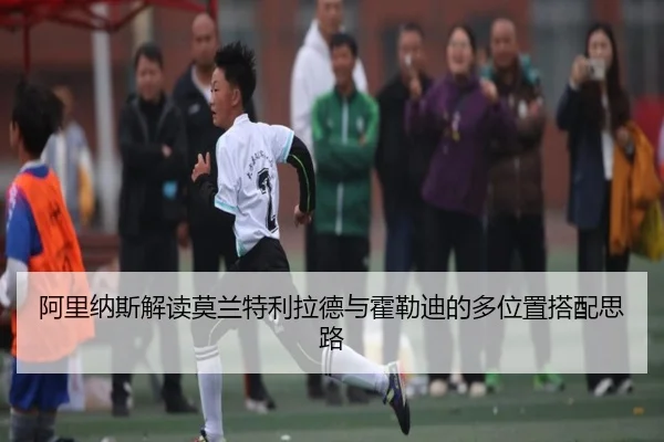 阿里纳斯解读莫兰特利拉德与霍勒迪的多位置搭配思路